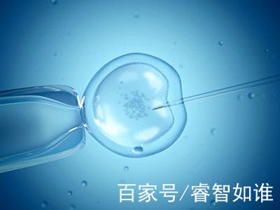 高龄二胎案例